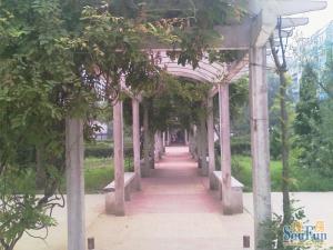 房子南北一居两厅,随时看房签约,