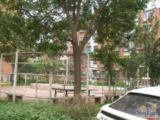 户型方正,采光好在改造名单里视野开阔性不错