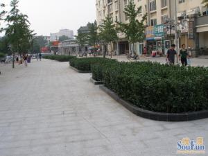 西城二环内天坛西门中轴线带电梯三居三面朝南