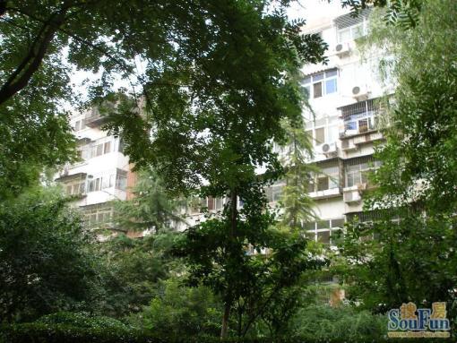  ���⡤��Ȼͤ����Ȼ������2�� 