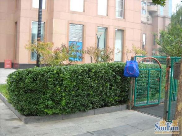 锦湖园公寓实景图