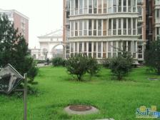 阜石路北侧 交通方便 配套成熟 户型方正