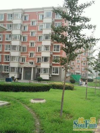 绿岛家园两室一厅精装修采光好.随时看房,签约