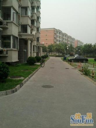 绿岛家园实景图