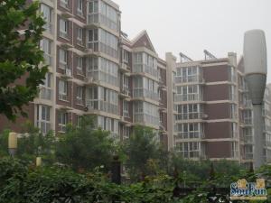 含晖苑1室1厅南