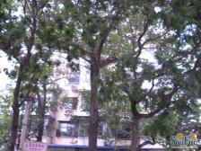 团结湖公园对面水碓子小区,南北通透两居室,看房方便