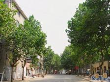 低楼层 近师范路,交通生活方便