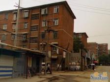 毕家洼小区 3室0厅 南