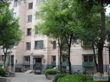 甜水园东里南北通透三居满五年唯一