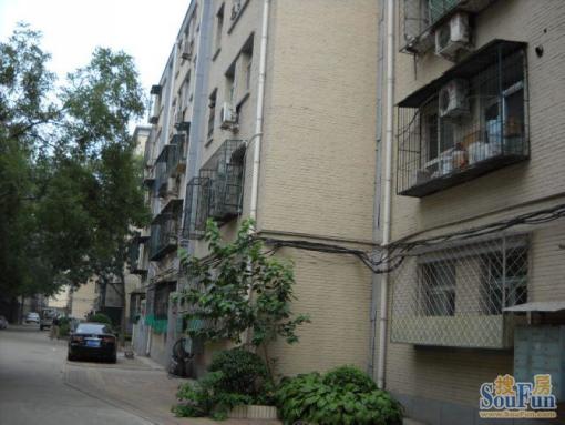  ���⡤�Ž�����Ž����������3�ҡ�����B 