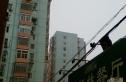 蓟门东里实景图