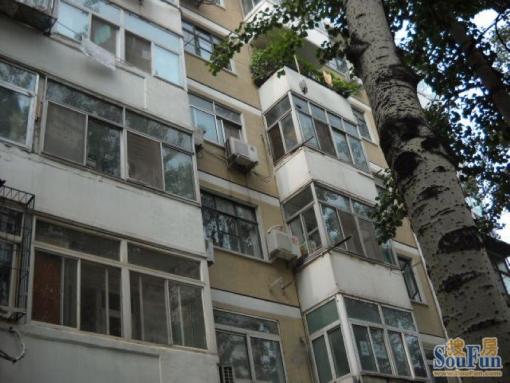  ���⡤�Ž�����Ž����������3�ҡ�����B 