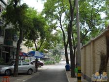 团结湖,南北通透三居室,双阳台格局,中间层不临街