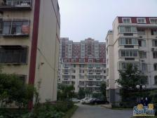 兴海园1室1厅南北
