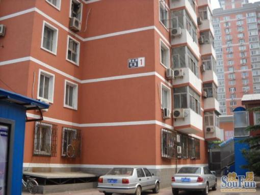  ���⡤�Ž�����Ž�����3�ҡ�����B 