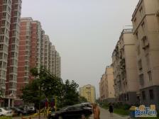 兴海园3室1厅南北
