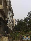 德茂小区3室1厅南北