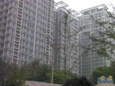 亮马河畔博洛尼新装修东南三居树景房可拎包入住