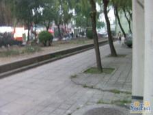 (店长推荐)推窗见绿阳光充沛,都市静心顶层为居