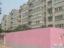 交通学院教师宿舍 七室三厅三卫带露台 带23平地下室