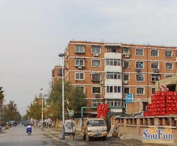 实景图