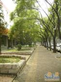 北二环,学院南路,邮电大学南门,全明户型两居带客厅
