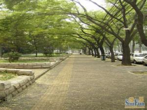 学院南路32号院2室1厅南