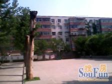 大桥局家属院 2室1厅 南 北