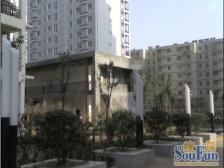 烟厂后街5号院 房子诚心出售 看房提前联系