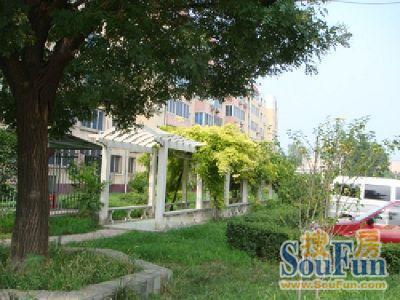 光辉里小区实景图