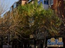 金华里,买津门看三室,必看此房,采光很好,价位能谈