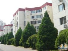 望京西园二区2室1厅西南
