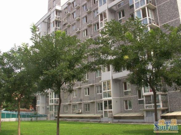 天天朝阳实景图