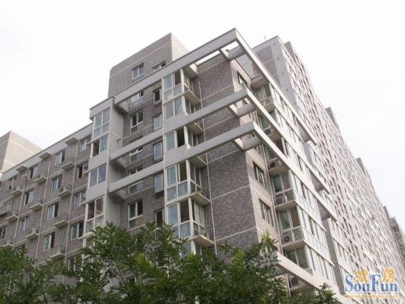 天天朝阳实景图