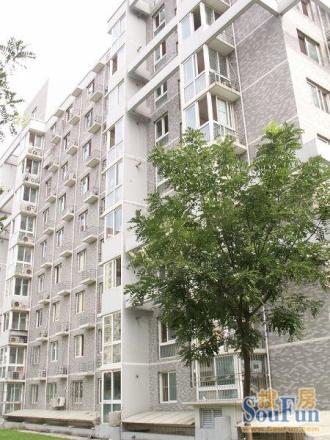 天天朝阳实景图