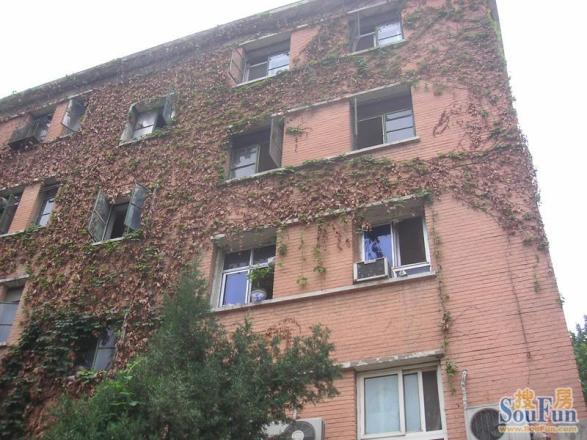 右外东庄实景图