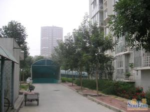 菜户营·金兴苑·3室·2厅