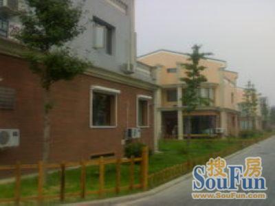 鸿福天地实景图