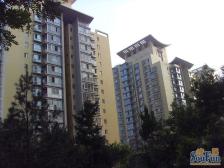 国典华园3室2厅南西