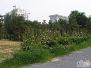 倚山嘉园,小区环境好,位置好,交通便利