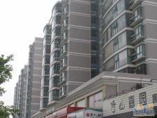 倚山嘉园 2室1厅 南