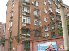 新桥南大街 2室1厅 南 北