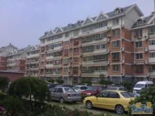 金泰丽富嘉园南区2室1厅南北