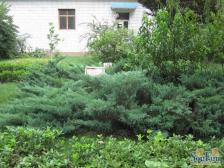 昊天温泉家园 3室2厅 南 北