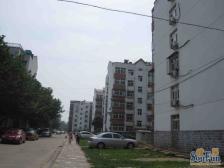 苏庄二里+ 南北通透 采光充足