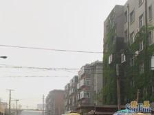 房子是明园新区里边的六七复试,小区停车方便