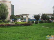 良乡大学城鸿顺园南北不临街,精装修,拎包入住中间楼