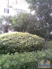 西三旗·龙兴园南区·4室·1厅