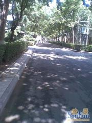 和平里·和平里七区·1室·1厅