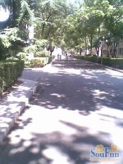 东城区和平里-田字格三居室-满五唯一